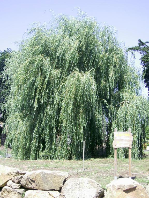 Holiday home La Bergerie Camlez